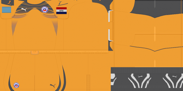 Chile gk.png