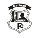 zamoralogo.png