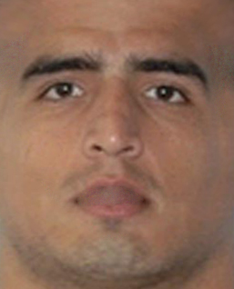 faceviatripes2012.png