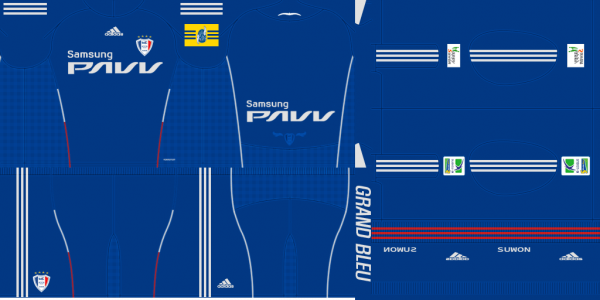 suwon2010home.png