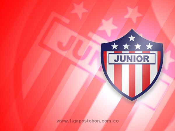 Wall_junior800x600.jpg