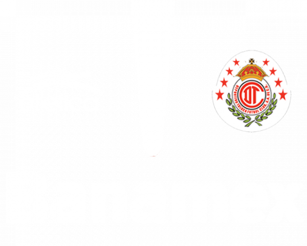 Toluca local II.png